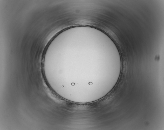 X0000110741039200907061002