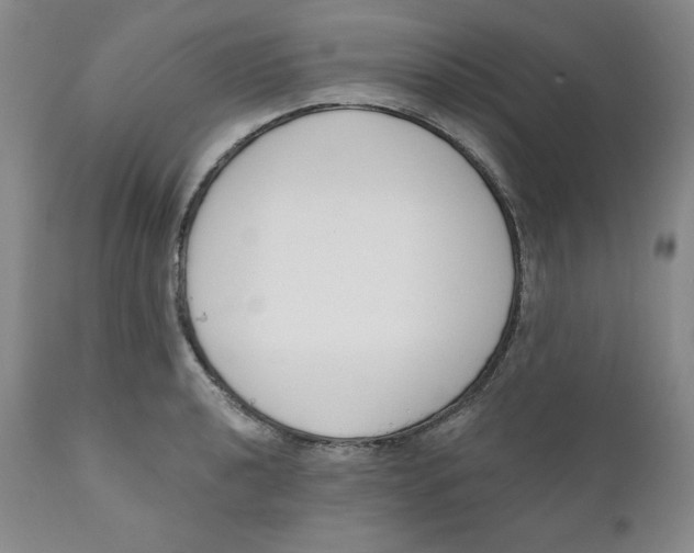 X0000110741040200907061002