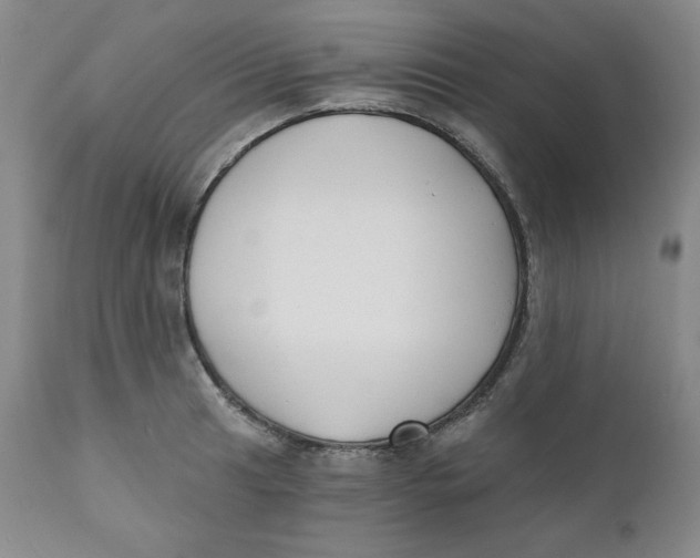 X0000110741041200907061002