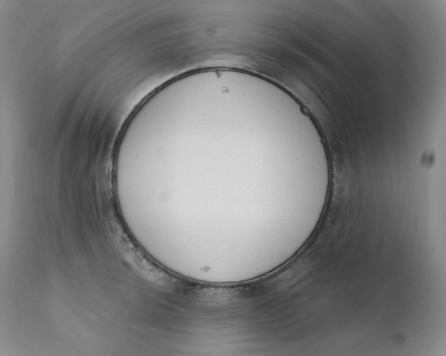 X0000110741044200907061002