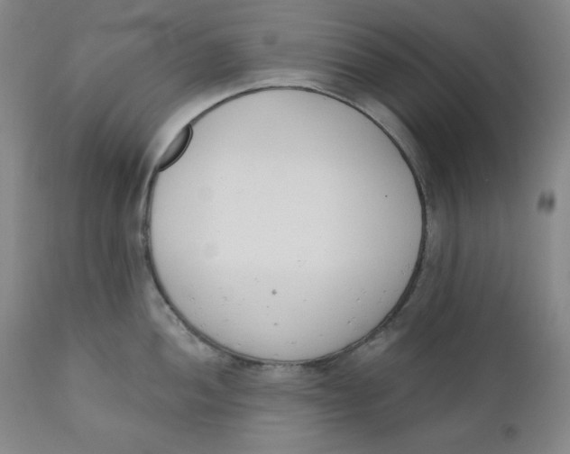 X0000110741052200907061002