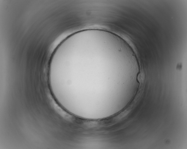 X0000110741054200907061002