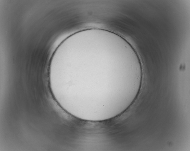 X0000110741056200907061002