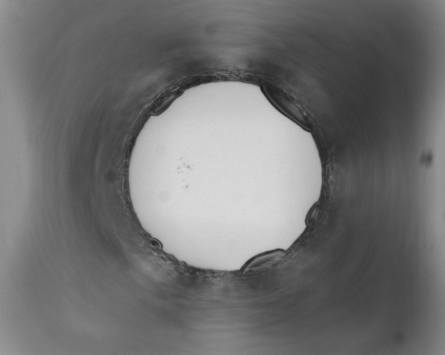 X0000110741057200907061002