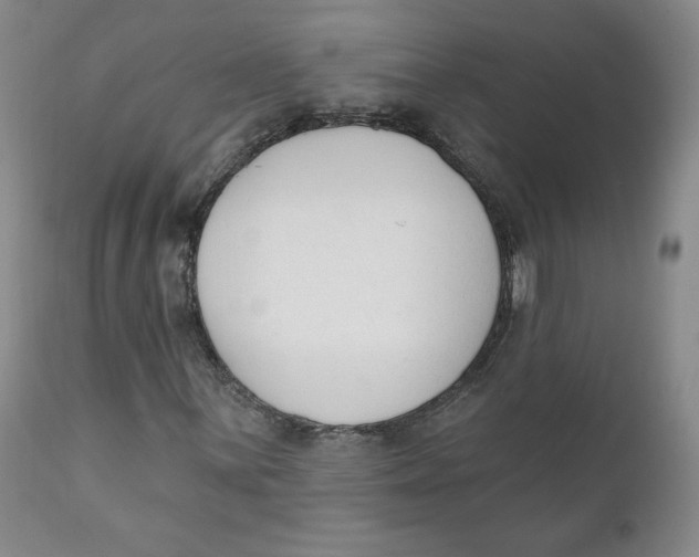 X0000110741059200907061002