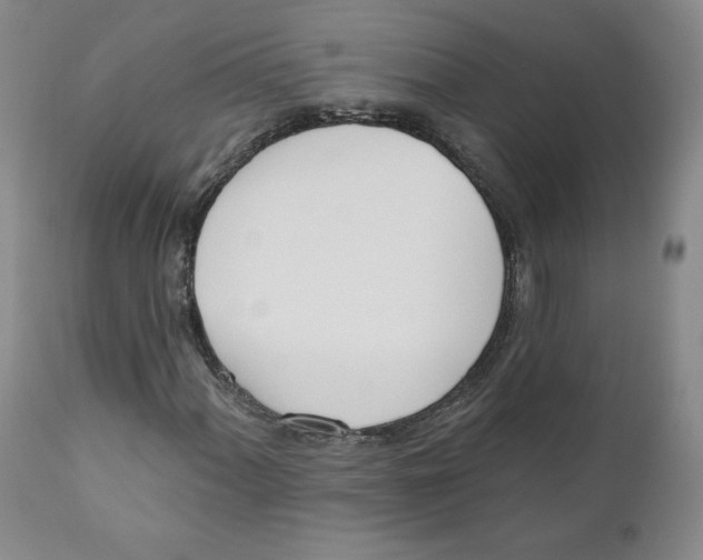 X0000110741060200907061002