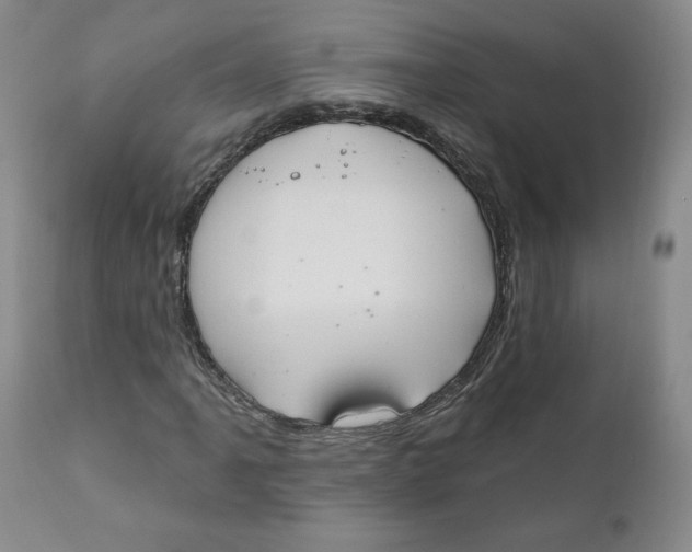 X0000110741061200907061002