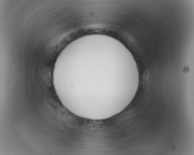 X0000110741062200907061002