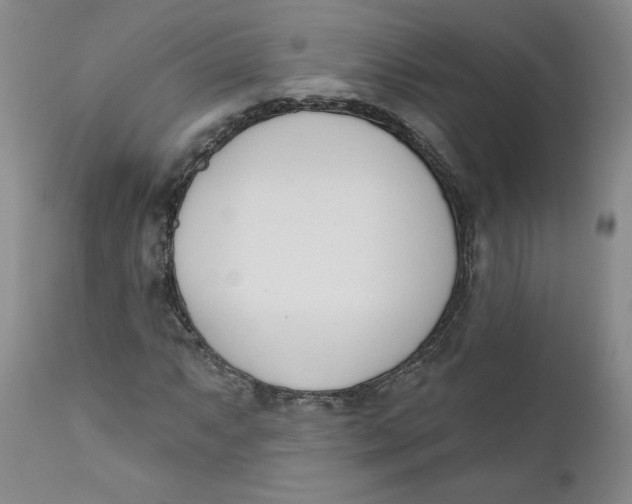 X0000110741063200907061001