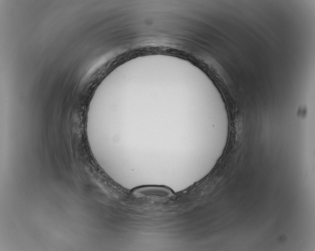 X0000110741064200907061001