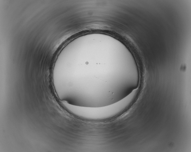 X0000110741065200907061001