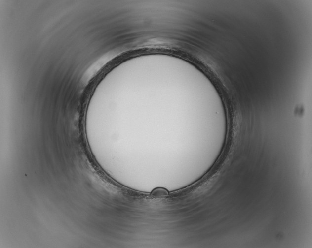 X0000110741066200907061001