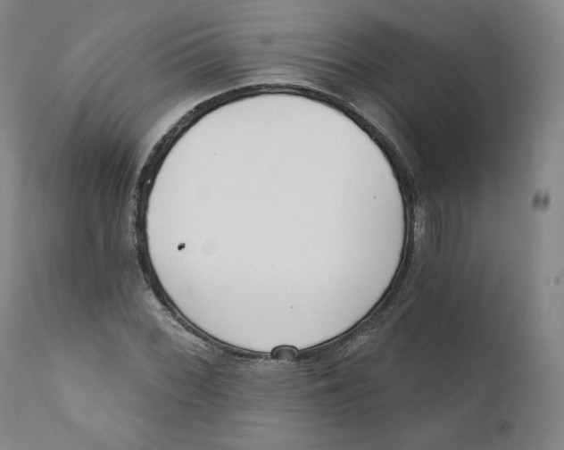 X0000110741068200907061001