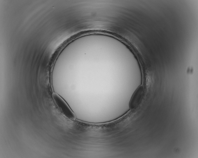 X0000110741069200907061001