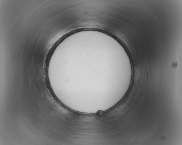 X0000110741071200907061001