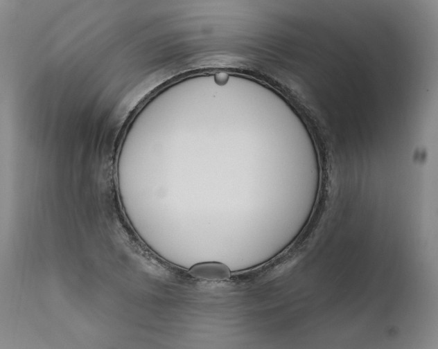 X0000110741073200907061001