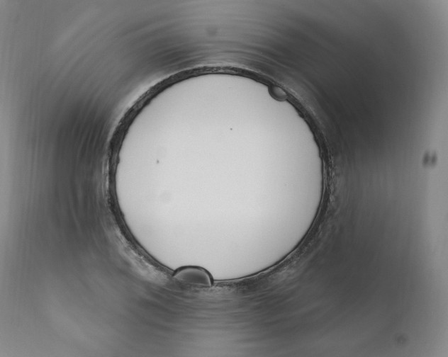 X0000110741076200907061001