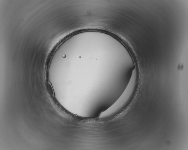 X0000110741077200907061001