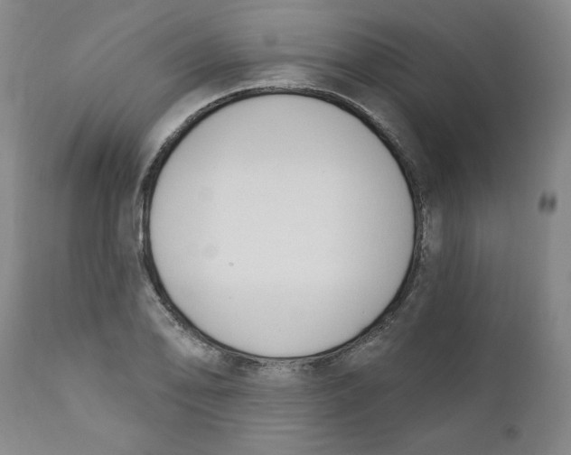 X0000110741078200907061001