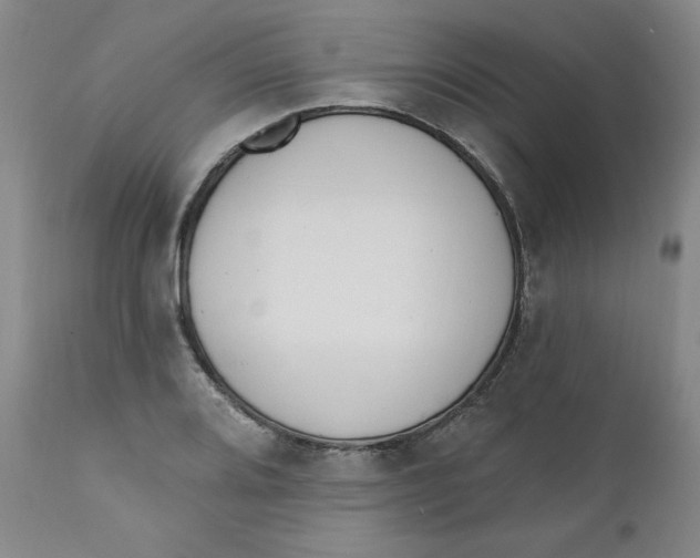 X0000110741080200907061001