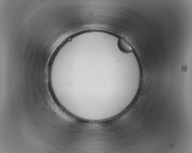 X0000110741082200907061001