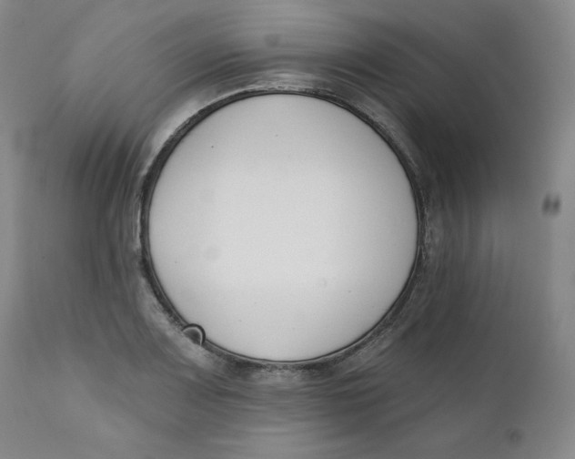 X0000110741083200907061001