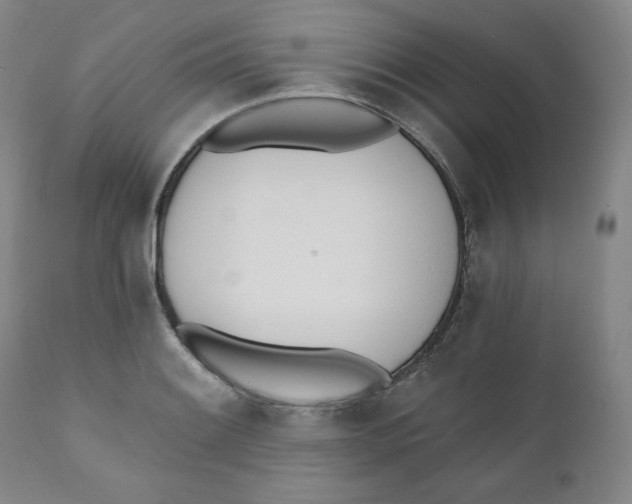 X0000110741084200907061001