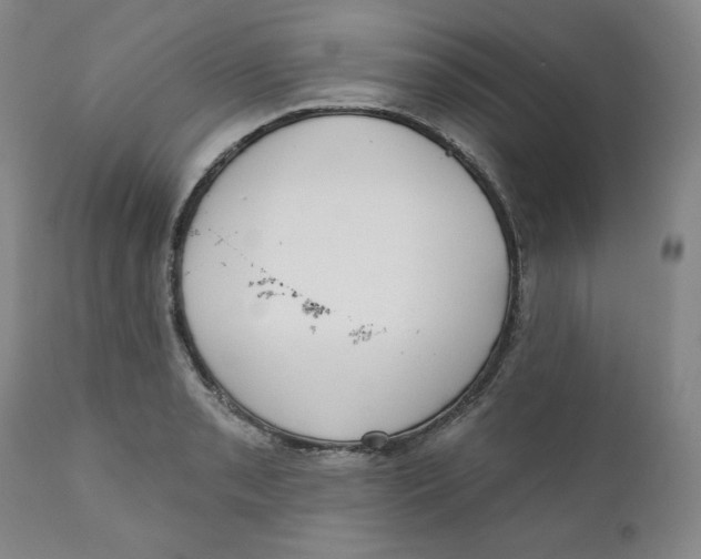 X0000110741085200907061001