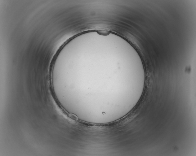 X0000110741087200907061001