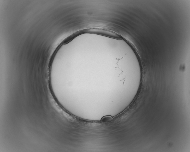 X0000110741088200907061001