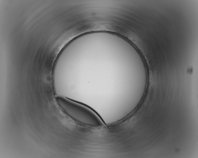 X0000110741089200907061001