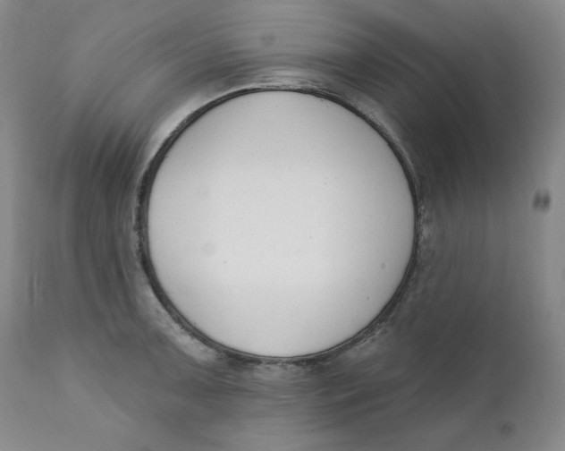 X0000110741091200907061001