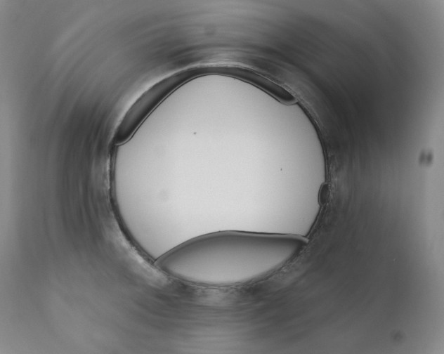 X0000110741092200907061001