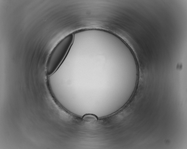 X0000110741093200907061001