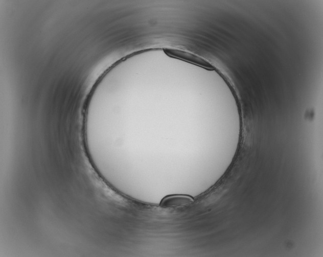 X0000110741096200907061001