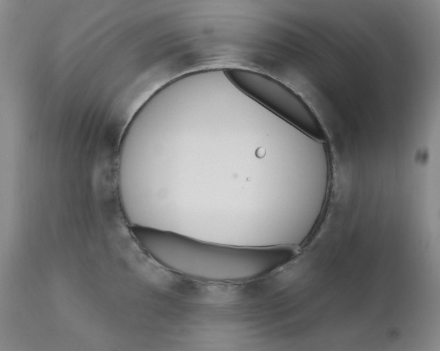 X0000110741097200907061001