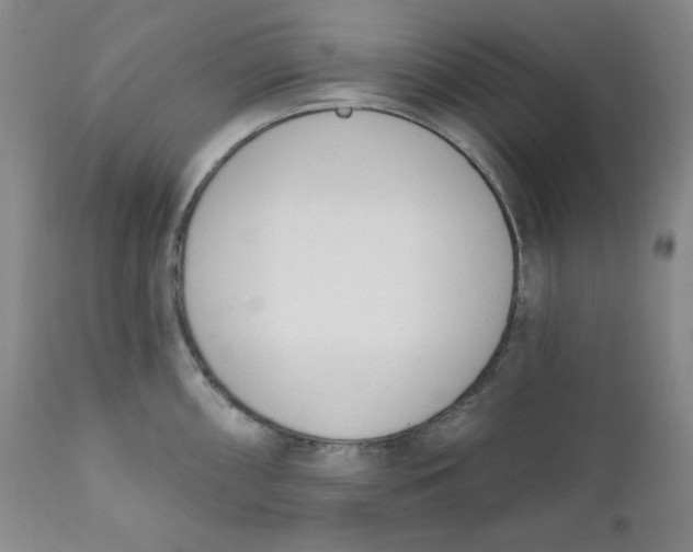 X0000110741098200907061001