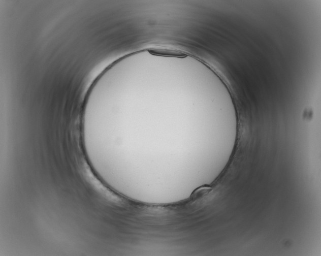 X0000110741100200907061001