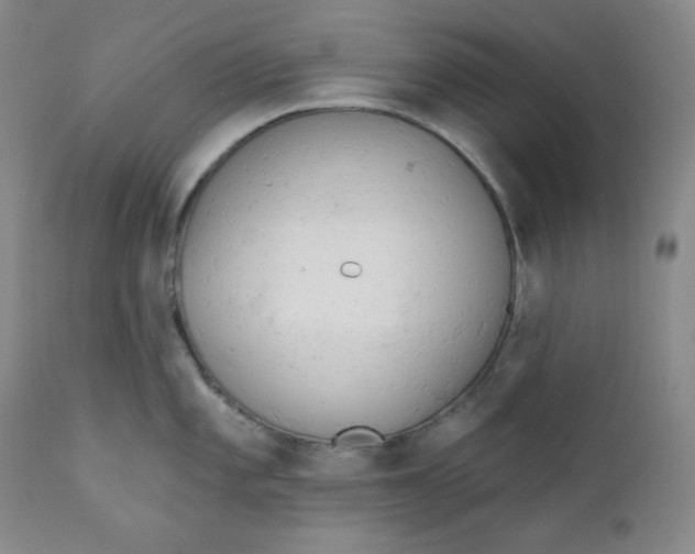 X0000110741101200907061001