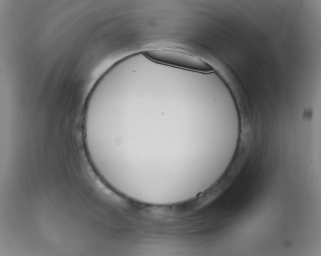 X0000110741102200907061001