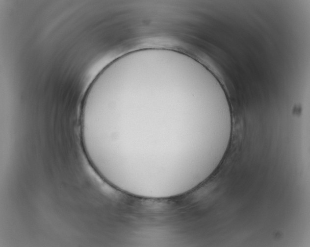 X0000110741103200907061001