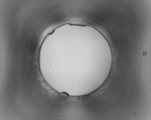 X0000110741104200907061001