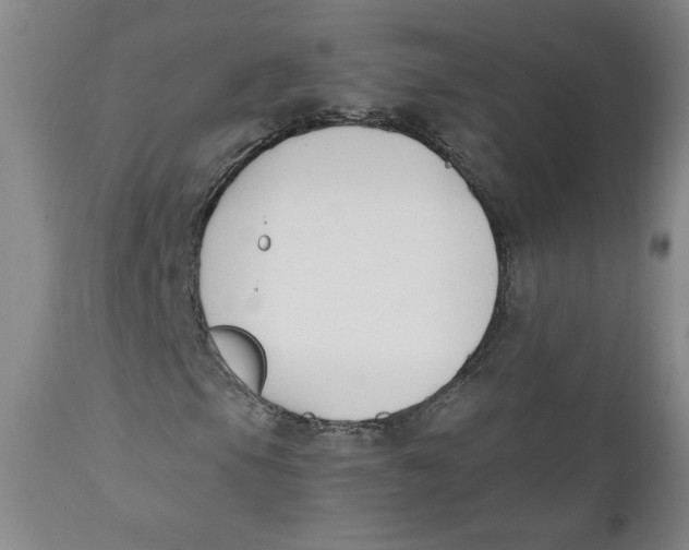 X0000110741105200907061000