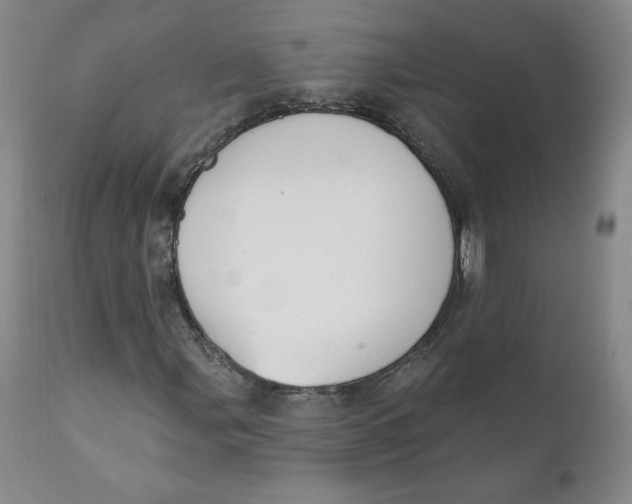 X0000110741107200907061000