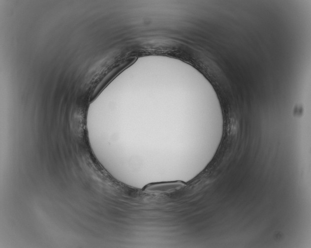 X0000110741108200907061000