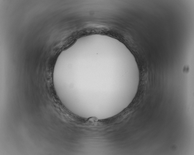 X0000110741109200907061000