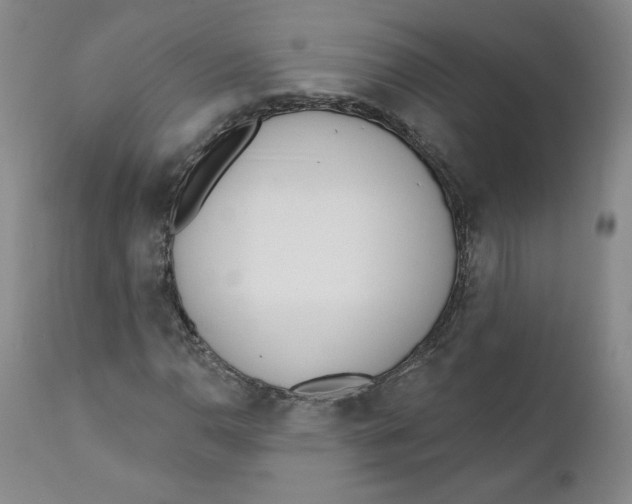 X0000110741110200907061000