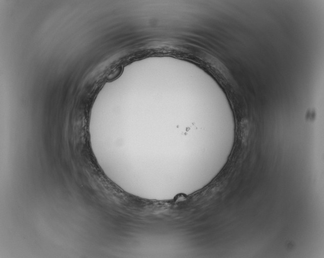 X0000110741111200907061000