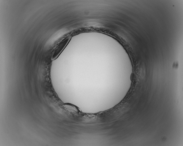 X0000110741112200907061000