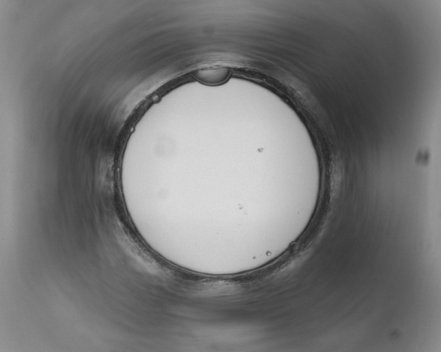 X0000110741113200907061000